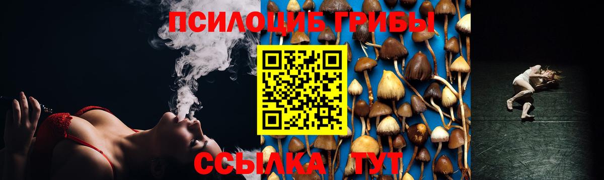 Псилоцибиновые грибы GOLDEN TEACHER Вышний Волочёк